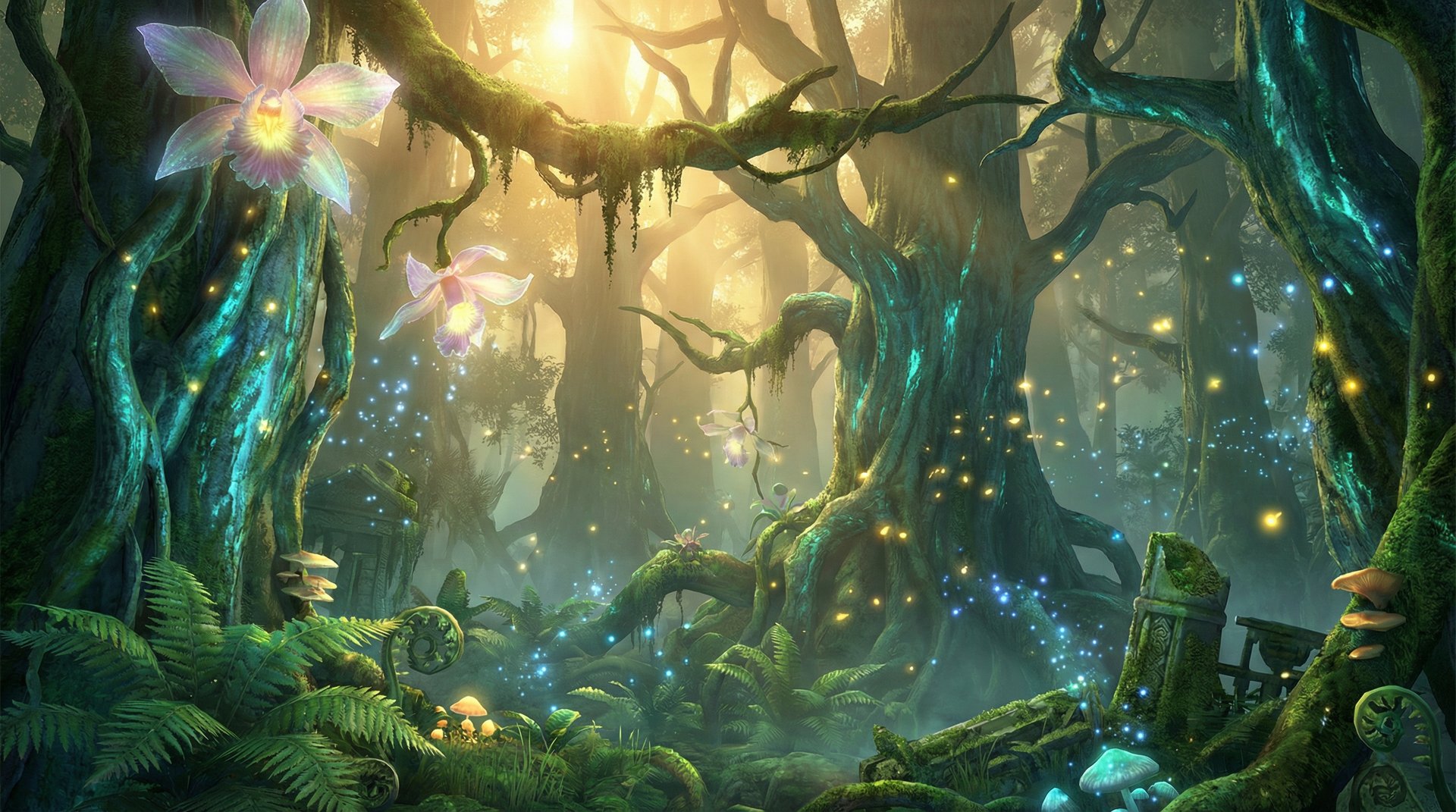 多多视频天山雪岭云杉探秘植物视频